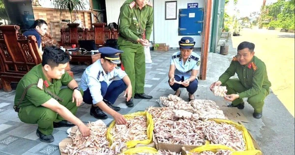Hành động của cơ quan chức năng