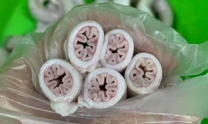 Lời Khuyên Từ Các Chuyên Gia